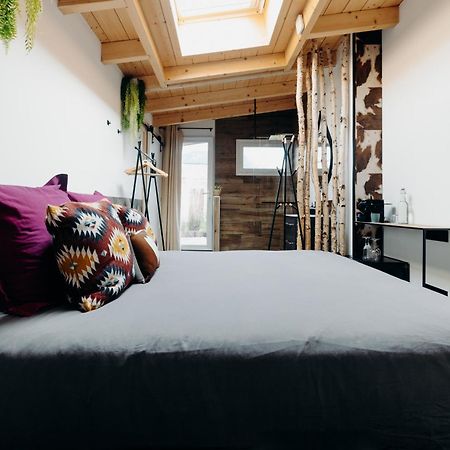 La Villa D'Helene 2 - Chambres D'Hotes Bnb Et Appartements - Cluses Buitenkant foto